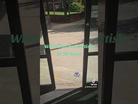 Scots when its hot #vlog #viral #funny #summer #scotland #sun #shortvideos