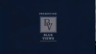 Video of Blue Views Villansion