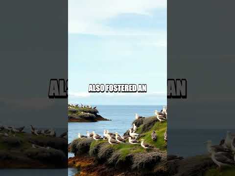 The Ingenious Patagonian Fishermen's Rookeries