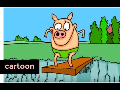 Varkentje Rund: Koekjes | Het Klokhuis