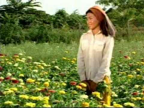 Khmer Music - Kmao Euy Kmao