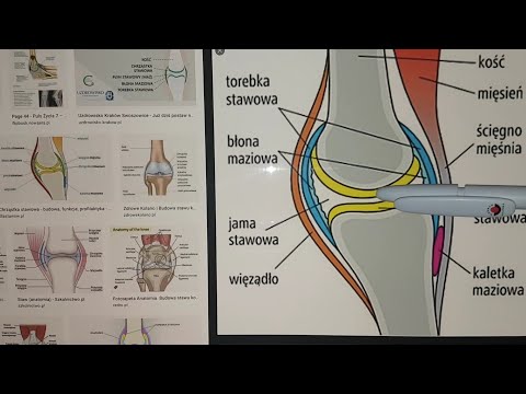 BUDOWA KOŚCI I STAWU