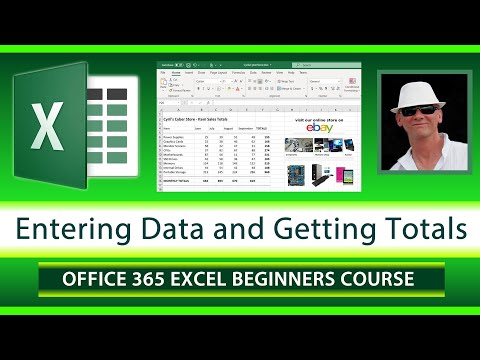 Office 365 Excel Totals and Adding Values and Basic Cell Formatting - Excel Beginner Course