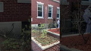 Sacred Heart St. Joseph Guild meets once a month to address repairs like this! #saintjosephguild