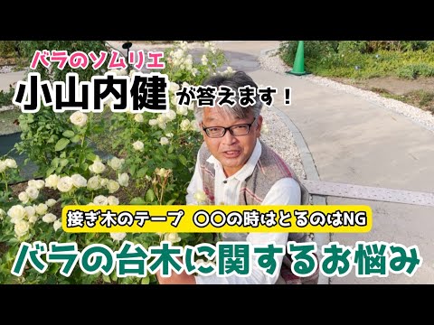 園芸 家庭菜園に関するよくある質問