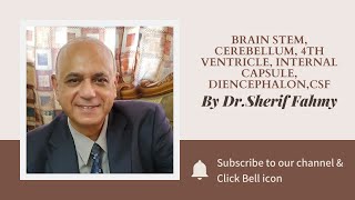 Dr. Sherif Fahmy - Brain stem,Cerebellum,4th Ventricle,Internal Capsule,Diencephalon,CSF