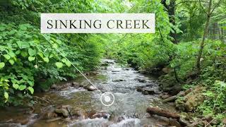 1026 Carson Springs Rd, Newport, TN