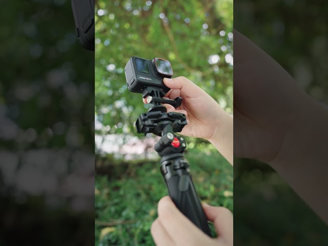 Vídeo relacionado con NEEWER TP38 Trípode para Móvil, 15" Mini Tripod Metal Palo Selfie Extensible con Soporte Celular, Adaptador Action CAM Compatible con Gopro Hero 13 12 11 10 9, Trípode Viaje con 360° Cabeza Esférica