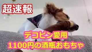 デコピン愛用！1100円の酒瓶おもちゃ