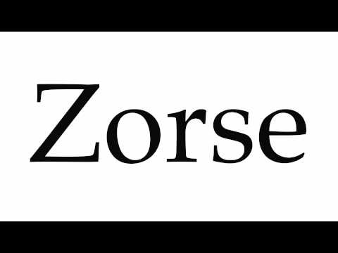 How to Pronounce Zorse