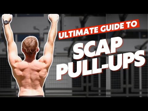 Scapular Pull Ups (Beginner to Advanced Progressions)