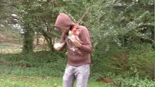 Dubstep Violin - Matthew Wood - Avery Ellis