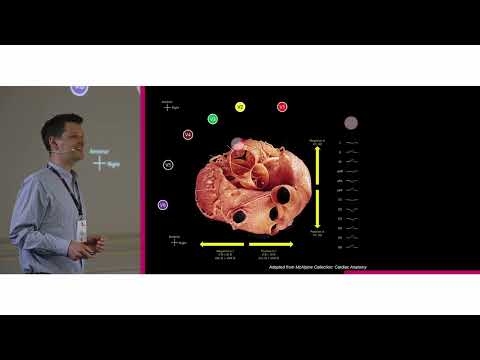 medArt 2025 | Donnerstag | 02 Extrasystolen | P. Badertscher