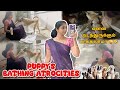 PUPPY S BATHING ATROCITIES DAY IN MY LIFE NATIVE ENJOYMENT ​⁠ SharmysVlogs