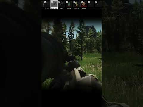 MK-18  .338 Lapua on Point