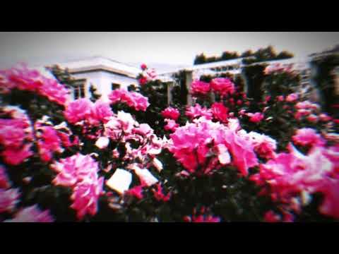 [FREE] CHILL $UICIDEBOY$ X SNOT X LIL DARKIE TYPE BEAT - "STAND ALONE" (prod. M!ST)