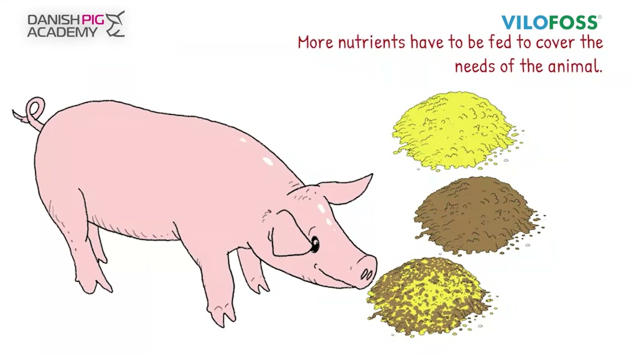 Nutrispar - saves on feed