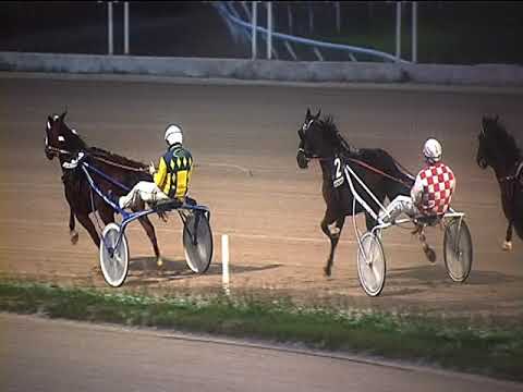 Trotto 28/10/2018 - 6ª corsa