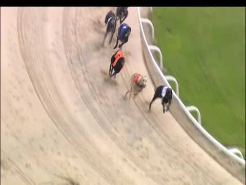 2017 DERBY PLATE - HEAT 3 - T3 IMPRESSIVE GUY