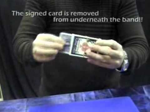 Outcased by Peter Eggink