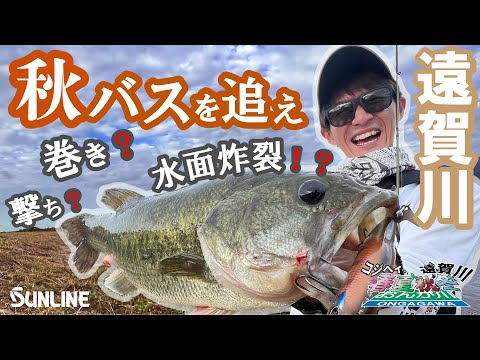 「コジヘイの春夏秋冬遠賀川　秋編 」