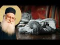 Beloved Are We Ready To Be The Rags Of This World