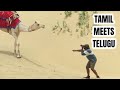 The Life Of Ram When Tamil Meets Telugu