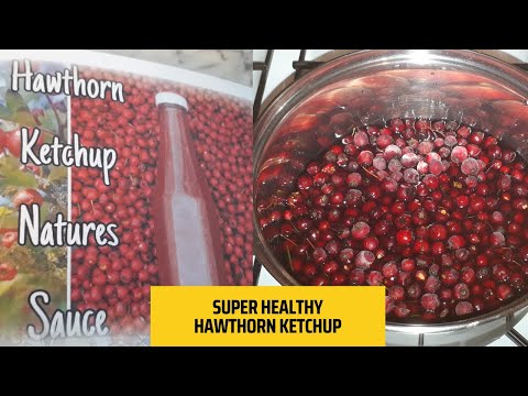 How To Make Hawthorn Ketchup - Easy Steps To Follow