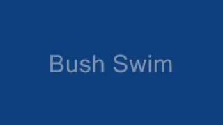 Bush Swim lyrics