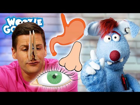 Was gibt es im menschlichen Körper zu entdecken? l WOOZLE GOOZLE