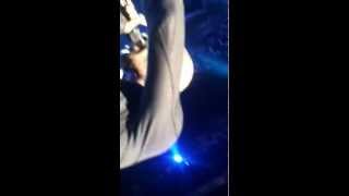 seal kiev tinsel town