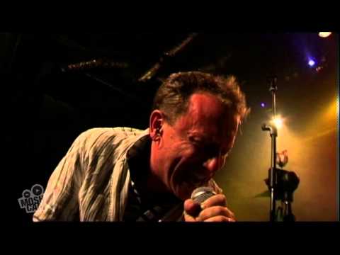 Take Me To The Riot - Stars