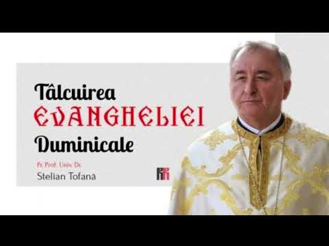 Pașii credinței și pașii rațiunii | Duminica a 9-a după Rusalii