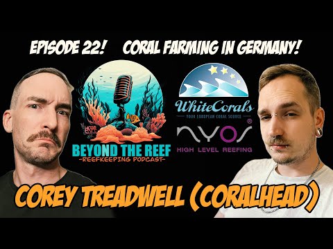 Coral Farming in Germany! Corey T/Coralhead (White Corals)