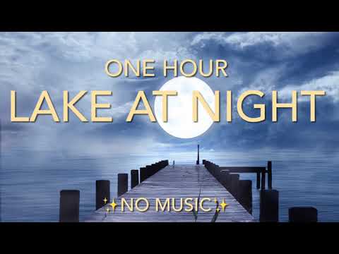 Canoe On The Lake At Night Sounds - With Lonesome Loon Call {1 Hour} *No Music}