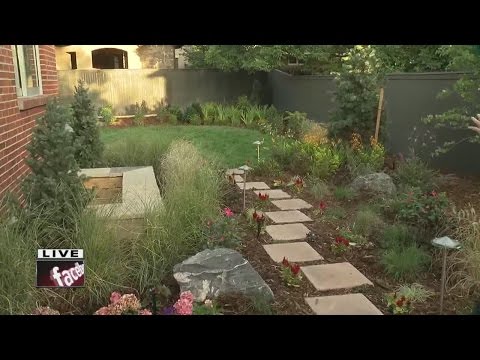 Check out the backyard at Sunset Magazine's 2015 idea home in Denver