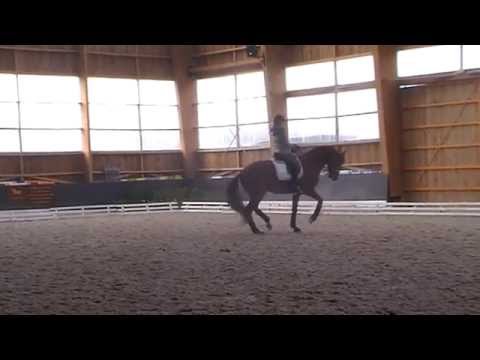 Don Juan de Hus - February 2015