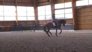 Don Juan de Hus et Quaterbold du Payrol étalons les plus représentés de la Grande Semaine 2018