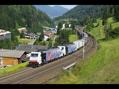 Brennerbahn im September 2021 /2 - Wolf am Brenner