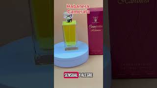 Download lagu The Most Unique Musical Performances Ever mp3