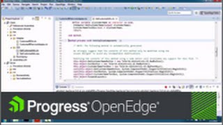Being More Productive with Progress Developer Studio for OpenEdge 