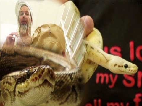 Snake Bytes TV - Pinstripe Ball Python