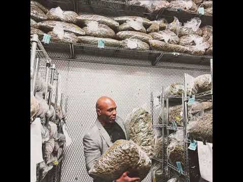 SJones - 219 Cypher Part 2 (feat. 5amous 5ive & Mirataen)