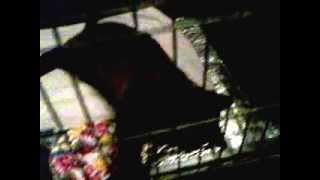 Ohhh heerlijk   kriebel / krabbel tijd