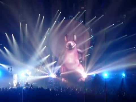 The Australian Pink Floyd Show @ Torwar Warszawa 21.01.2012