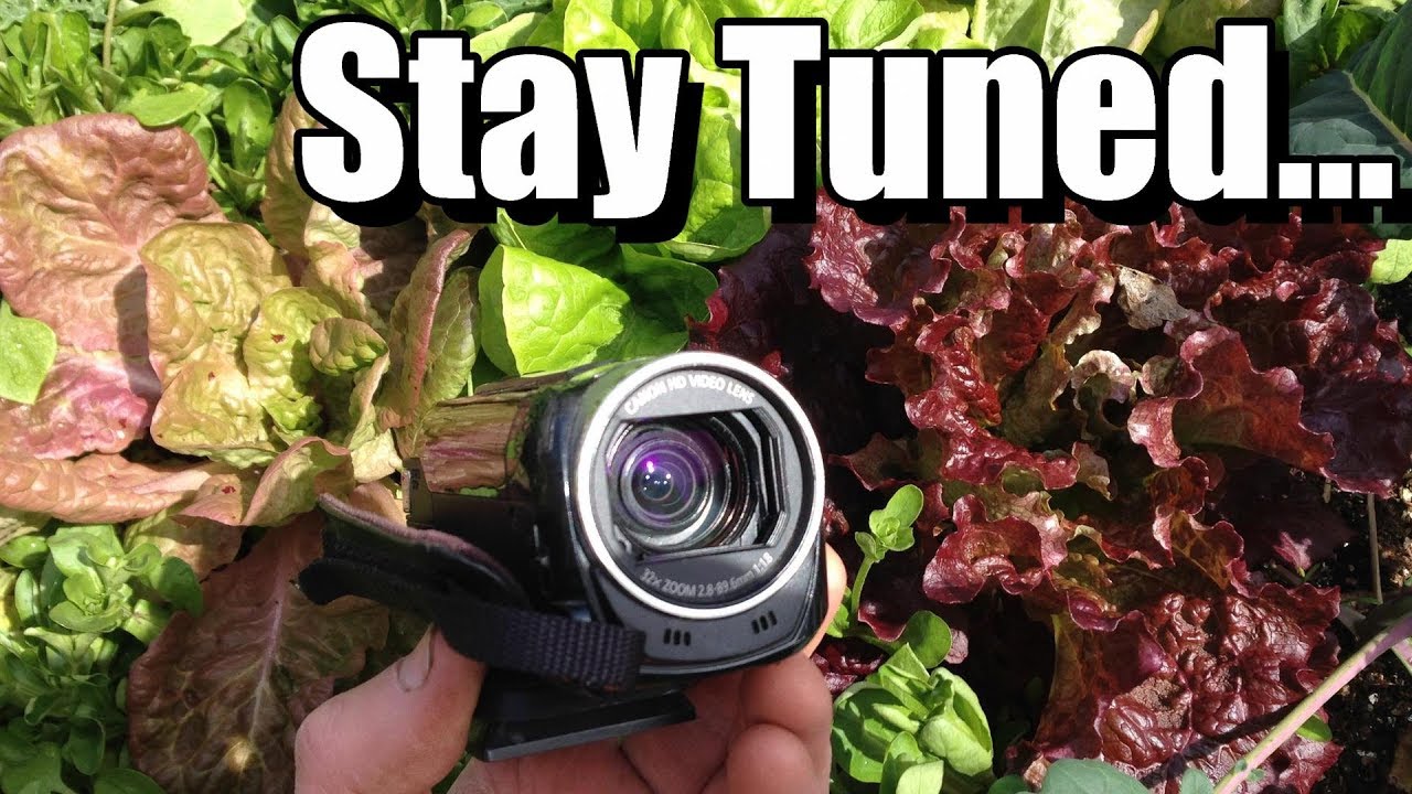 A Brief Interruption in our Regularly Scheduled Programming