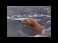 Thahare Huye Pani Me Kankad Na Maro