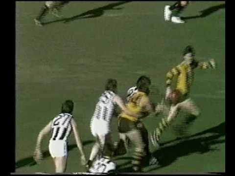 VFL R11 1981 - Hawthorn v Collingwood