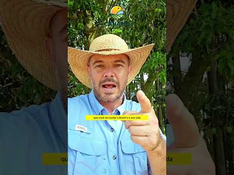 Hoje é 22, fazendão de 122 alqueirão à venda em Marianópolis/TO, o filé do Vale do Araguaia.