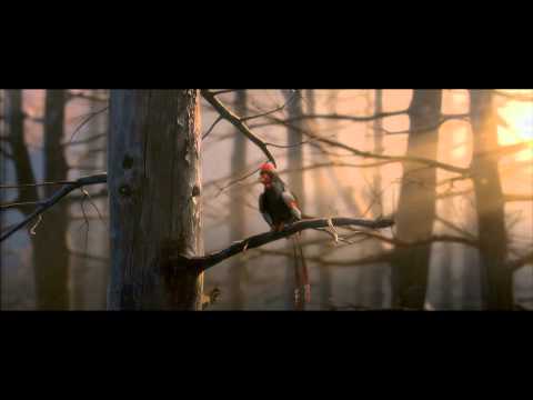 Walking WIth Dinosaurs Trailer